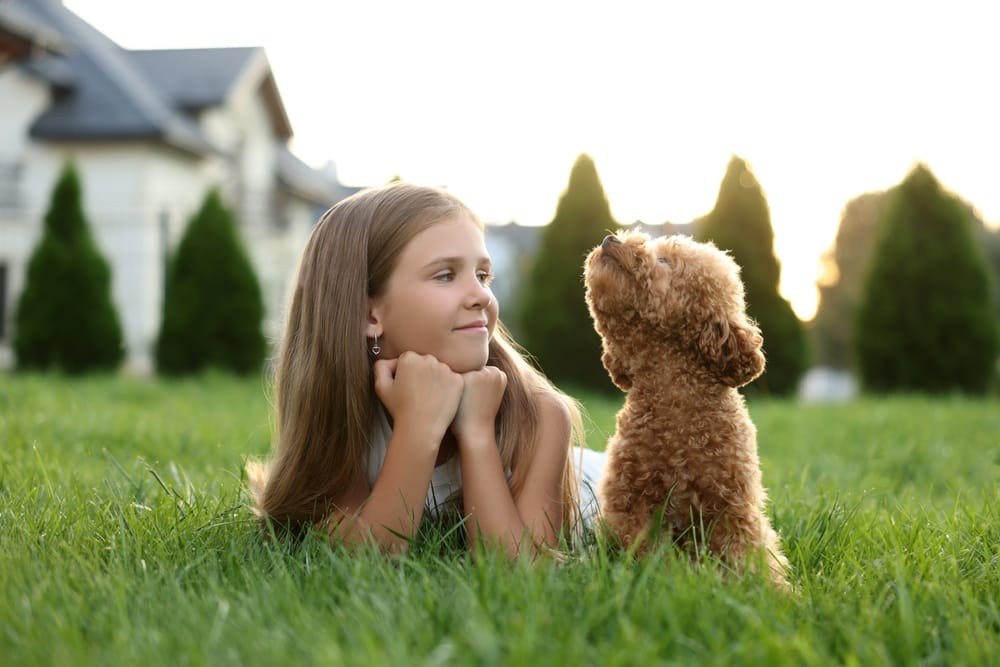 Ein Mädchen mit ihrem Maltipoo Hund auf einer Wiese